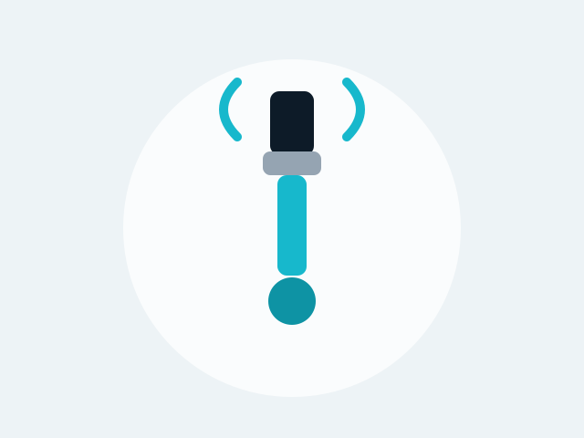 Oxygen Sensor — Camry